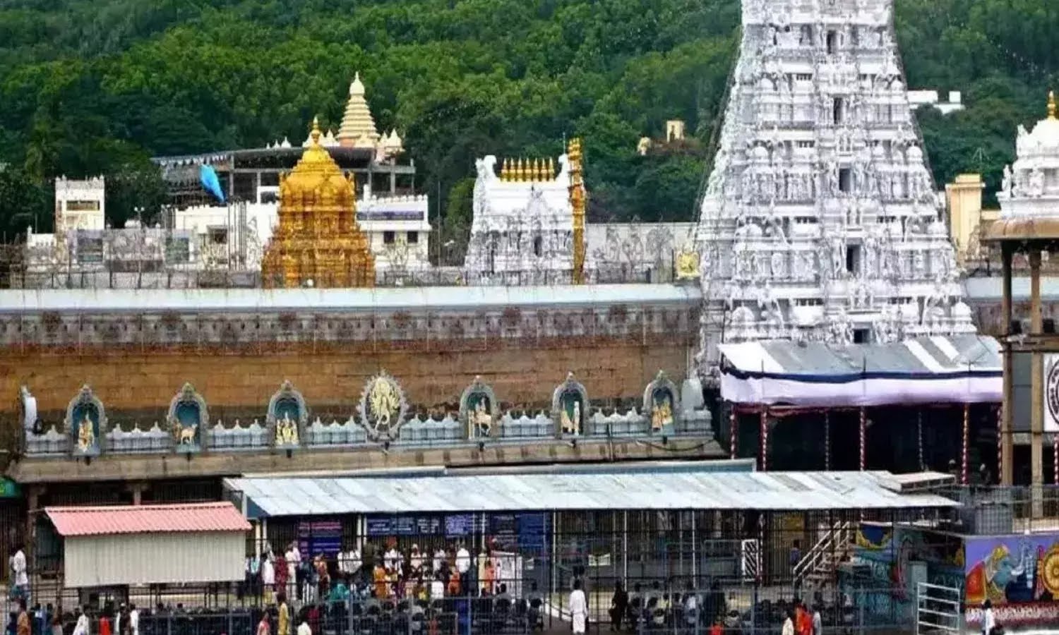 आस्था के नाम पर खिलवाड़, तिरुपति बालाजी मंदिर के प्रसाद में जानवरों की चर्बी और मछली के तेल होने की पुष्टि, कानूनी कार्रवाई जरूरी